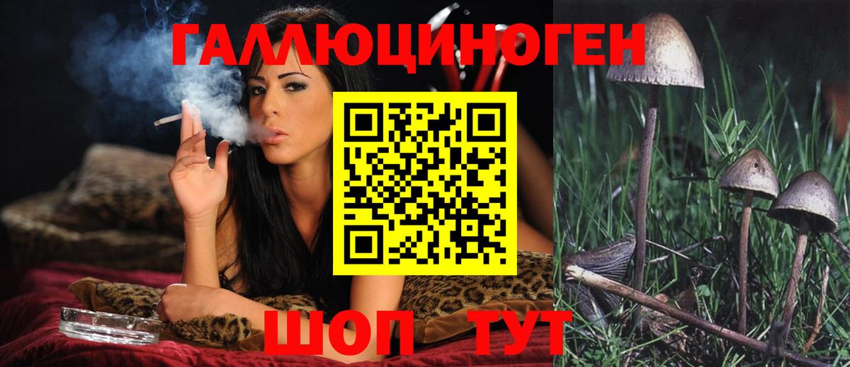 Псилоцибиновые грибы MAGIC MUSHROOMS Каменка