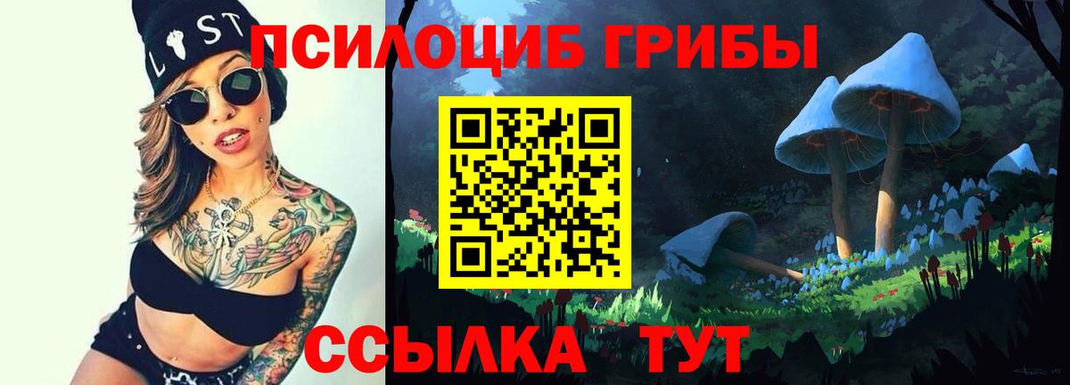 Галлюциногенные грибы ЛСД  Псилоцибиновые грибы ЛСД  цена наркотик  Вход с VPN  Каменка 